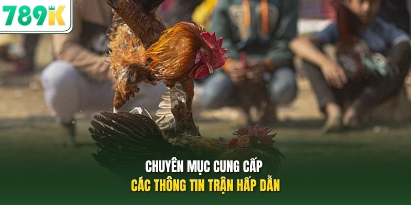 Chuyên mục cung cấp các thông tin trận hấp dẫn