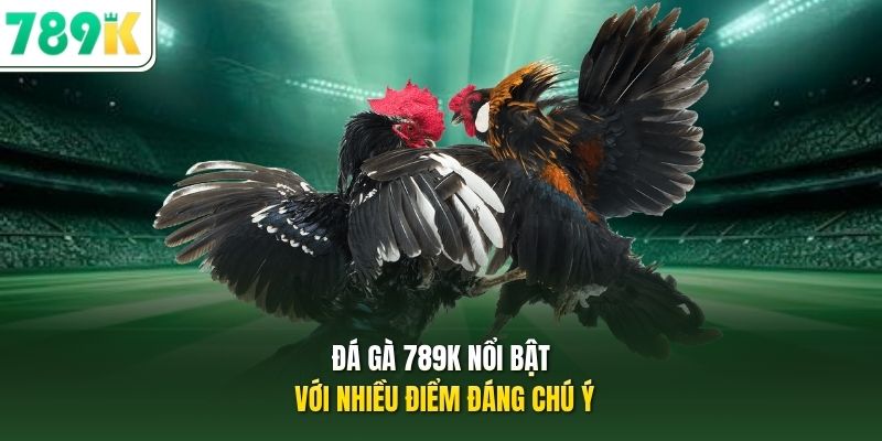 Đá gà 789K nổi bật với nhiều điểm đáng chú ý