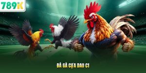 đá gà cựa dao c1